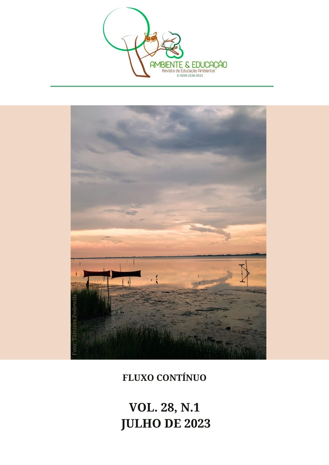 					Visualizar v. 28 n. 1 (2023):  Ambiente & Educação: Revista de Educação Ambiental
				